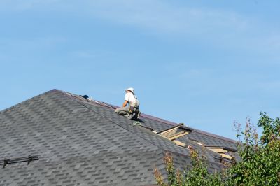 Professional Roof Repair Worker
